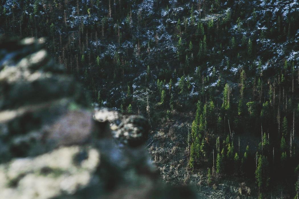 Blog Preview